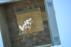 2025DSC_0190_klein