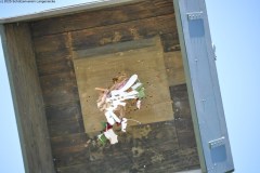 2025DSC_0200_klein