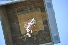 2025DSC_0204_klein