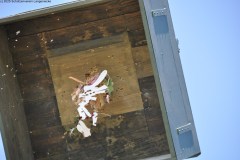 2025DSC_0206_klein