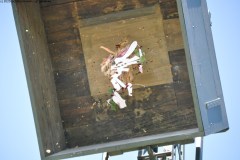 2025DSC_0208_klein