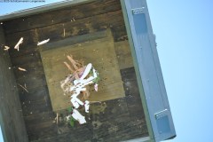 2025DSC_0217_klein