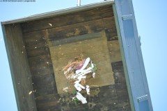 2025DSC_0222_klein