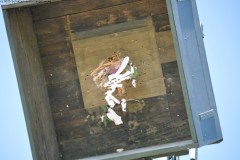2025DSC_0224_klein