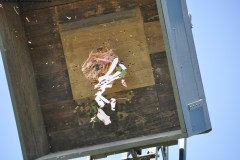 2025DSC_0225_klein
