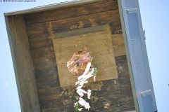 2025DSC_0226_klein