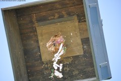 2025DSC_0227_klein