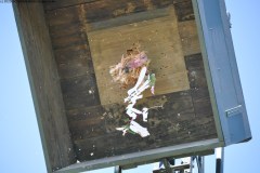 2025DSC_0228_klein
