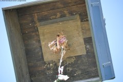 2025DSC_0232_klein
