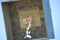 2025DSC_0234_klein