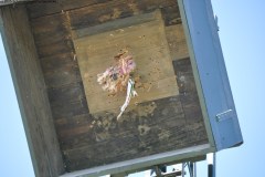 2025DSC_0235_klein