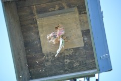 2025DSC_0237_klein