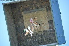 2025DSC_0243_klein