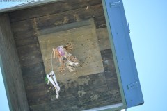 2025DSC_0245_klein