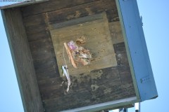 2025DSC_0249_klein