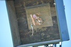 2025DSC_0258_klein