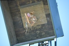 2025DSC_0260_klein