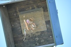 2025DSC_0261_klein