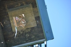 2025DSC_0264_klein