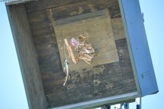2025DSC_0265_klein