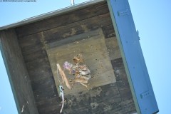2025DSC_0266_klein