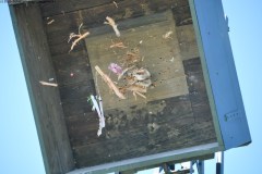 2025DSC_0267_klein
