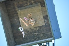2025DSC_0268_klein