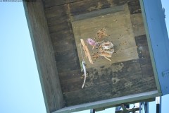 2025DSC_0269_klein