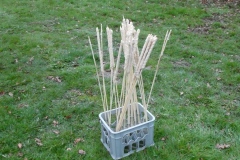 20260405_Osterfeuer_0005