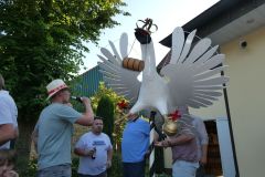 20260623_Vogelbegutachten_002